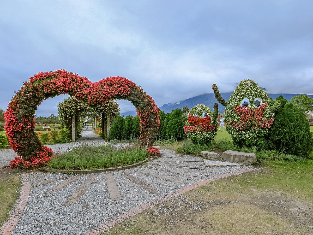池上鄉農會四季花海的愛心花牆
