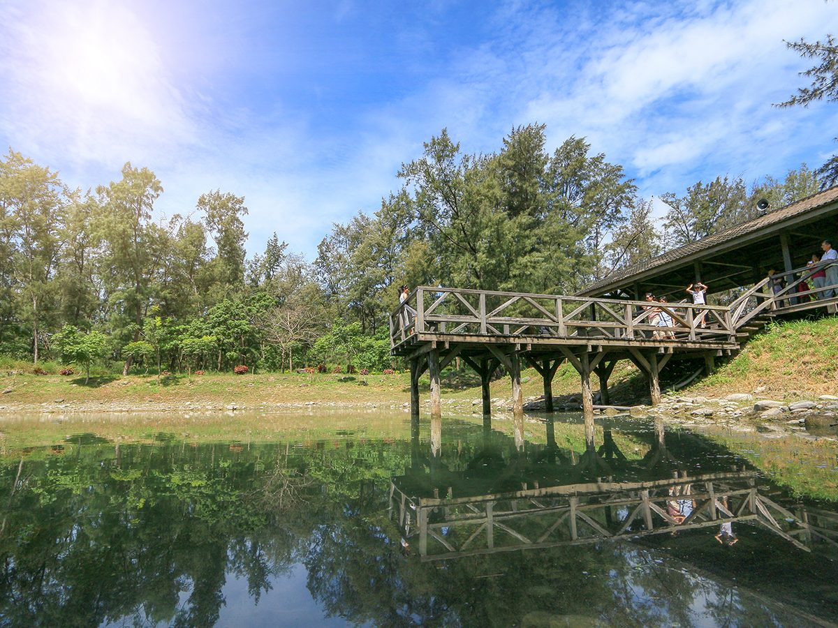台東森林公園琵琶湖的木棧橋與湖水