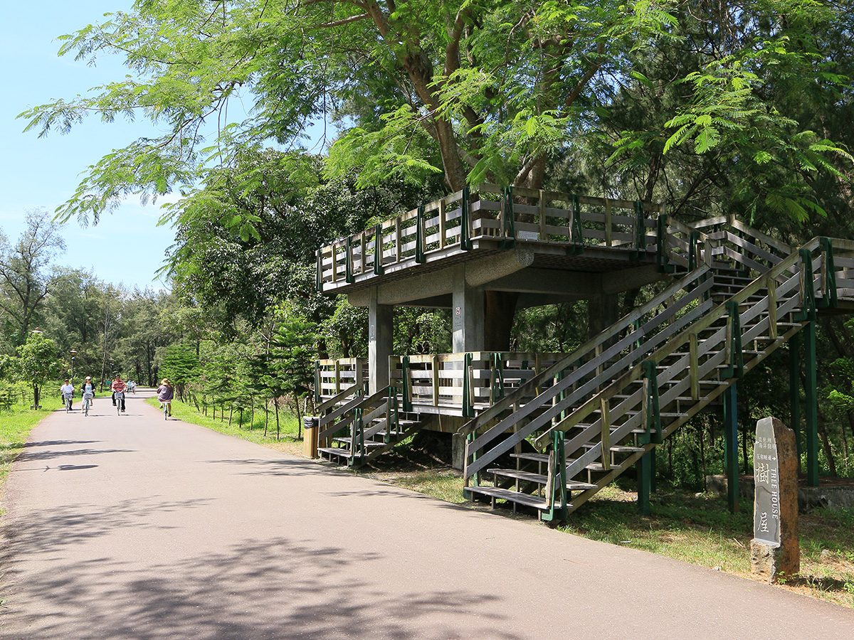 台東森林公園的林間步道與木造觀景台，PASIWALI 音樂節就在園區內舉辦